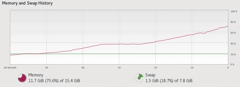 Memory Usage