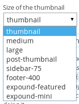 The image sizes menu