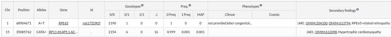 secondary-findings_example