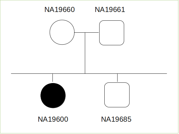 ped file