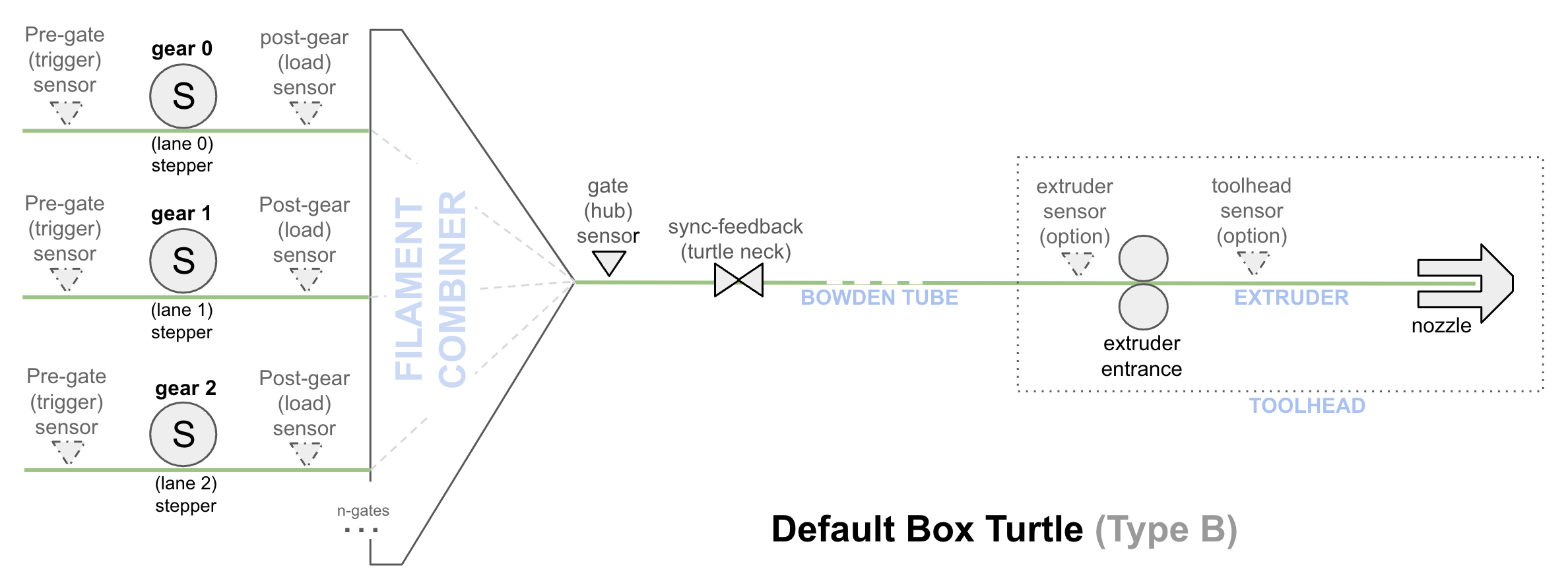 Default Box Turtle Design