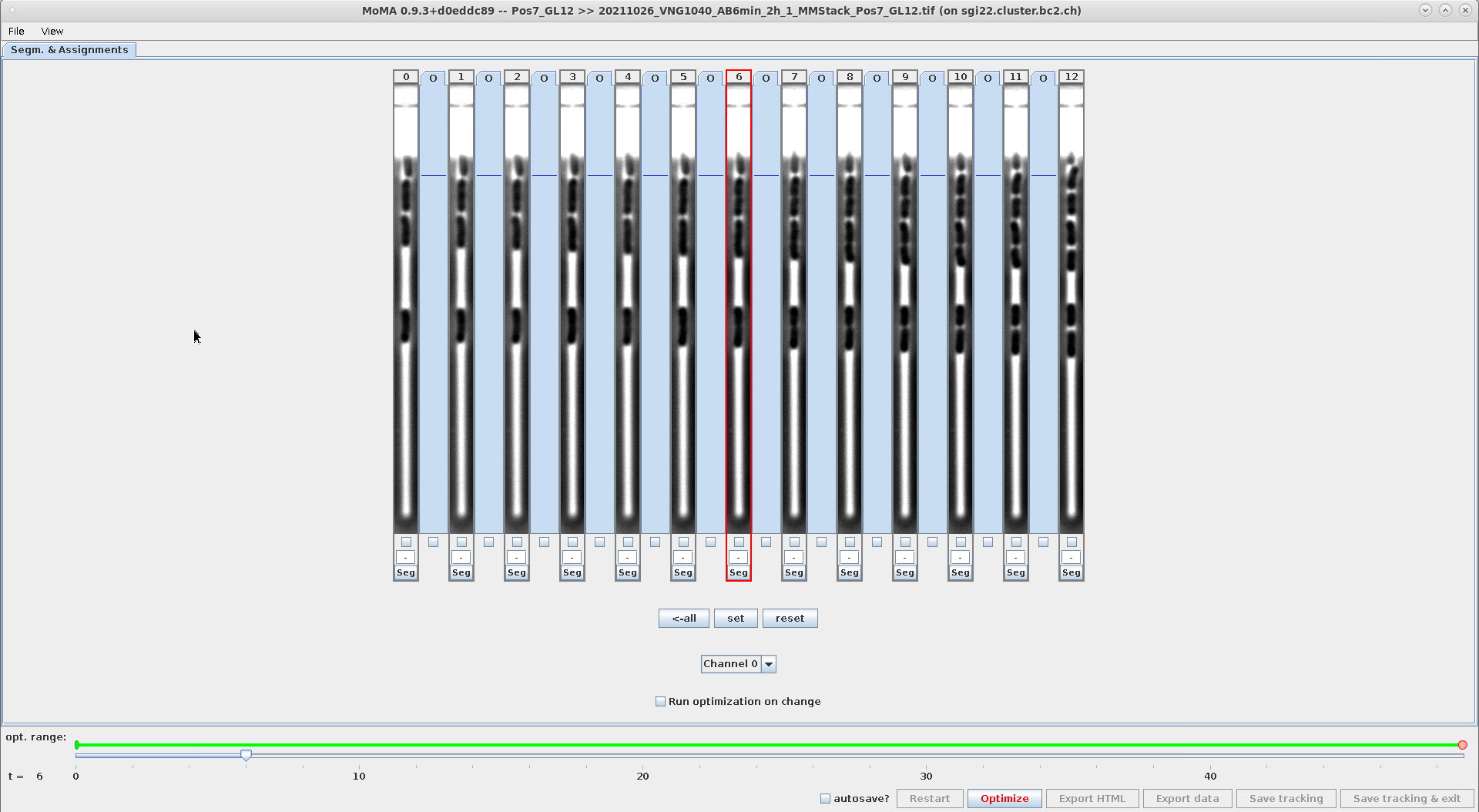 Screenshot of GUI with 13 time-steps at resolution 1920x1080