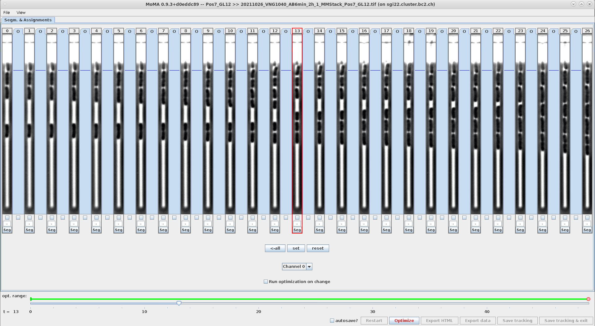 Screenshot of GUI with 27 time-steps at resolution 1920x1080