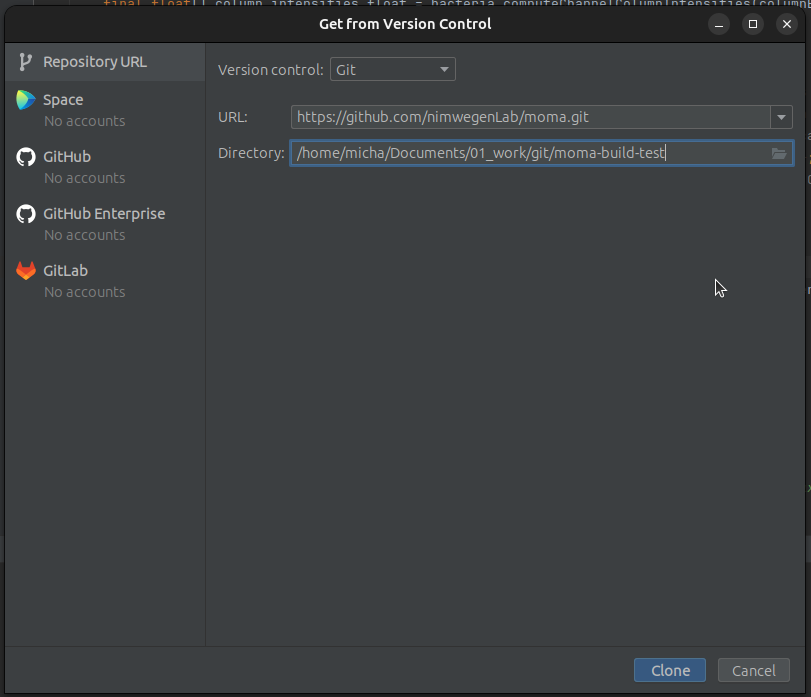 Screenshot 2: IntelliJ Project from Version Control